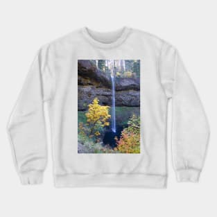 850_2831 Crewneck Sweatshirt